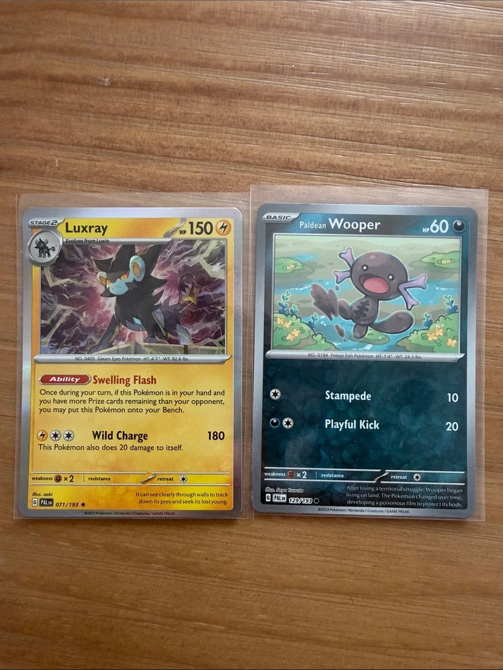 Pokemon pokémon paldea